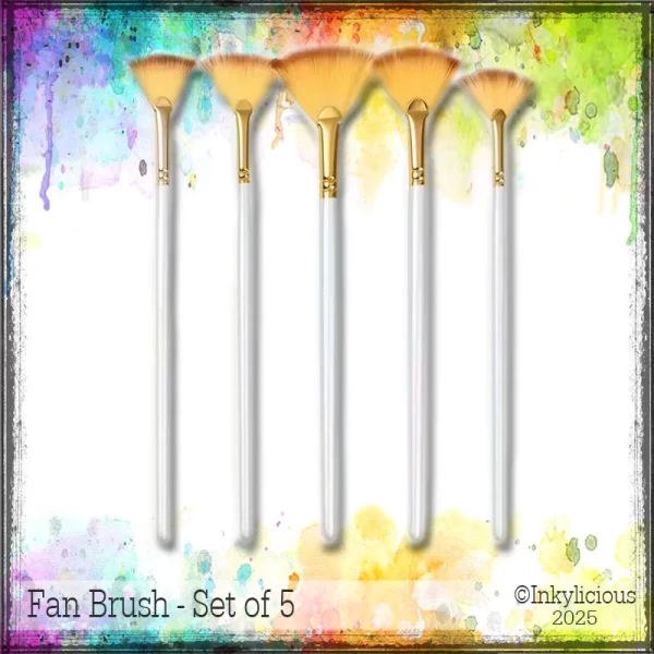 Fan Brush Pack of 5